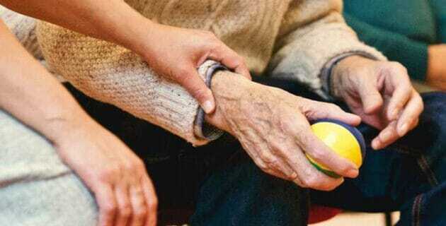 Companion-Care-Page-image-02