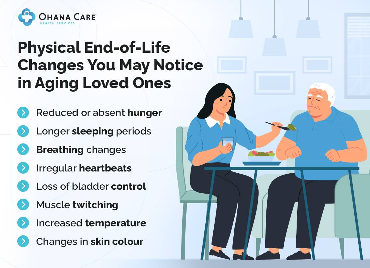 An infographic titled "Physical End-of-Life Changes You May Notice in Aging Loved Ones." The graphic features a list of physical changes that may occur in aging individuals nearing the end of life. These include: Reduced or absent hunger Longer sleeping periods Breathing changes Irregular heartbeats Loss of bladder control Muscle twitching Increased temperature Changes in skin color The image also depicts a caregiver offering food to an elderly man, who appears disinterested. The caregiver is seated at a table with the elderly person, offering a gentle and attentive demeanor.